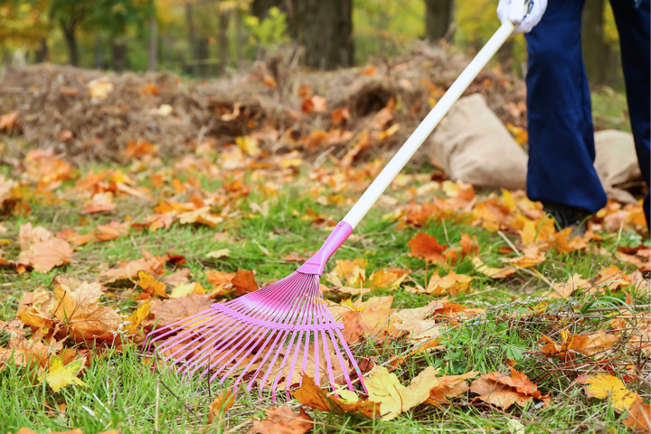 Vignette_entretien_automne.png